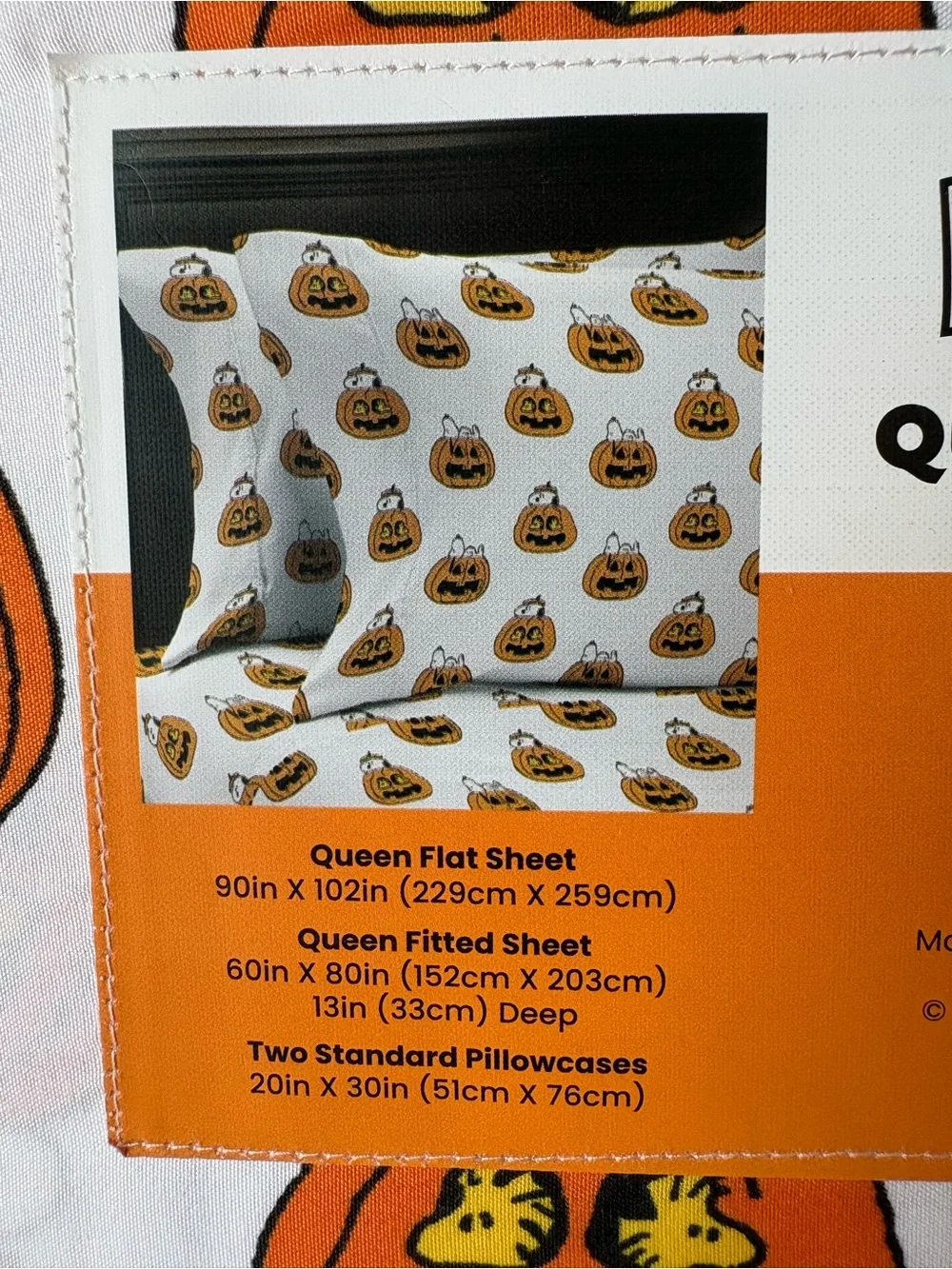 Peanuts 4pc pumpkin